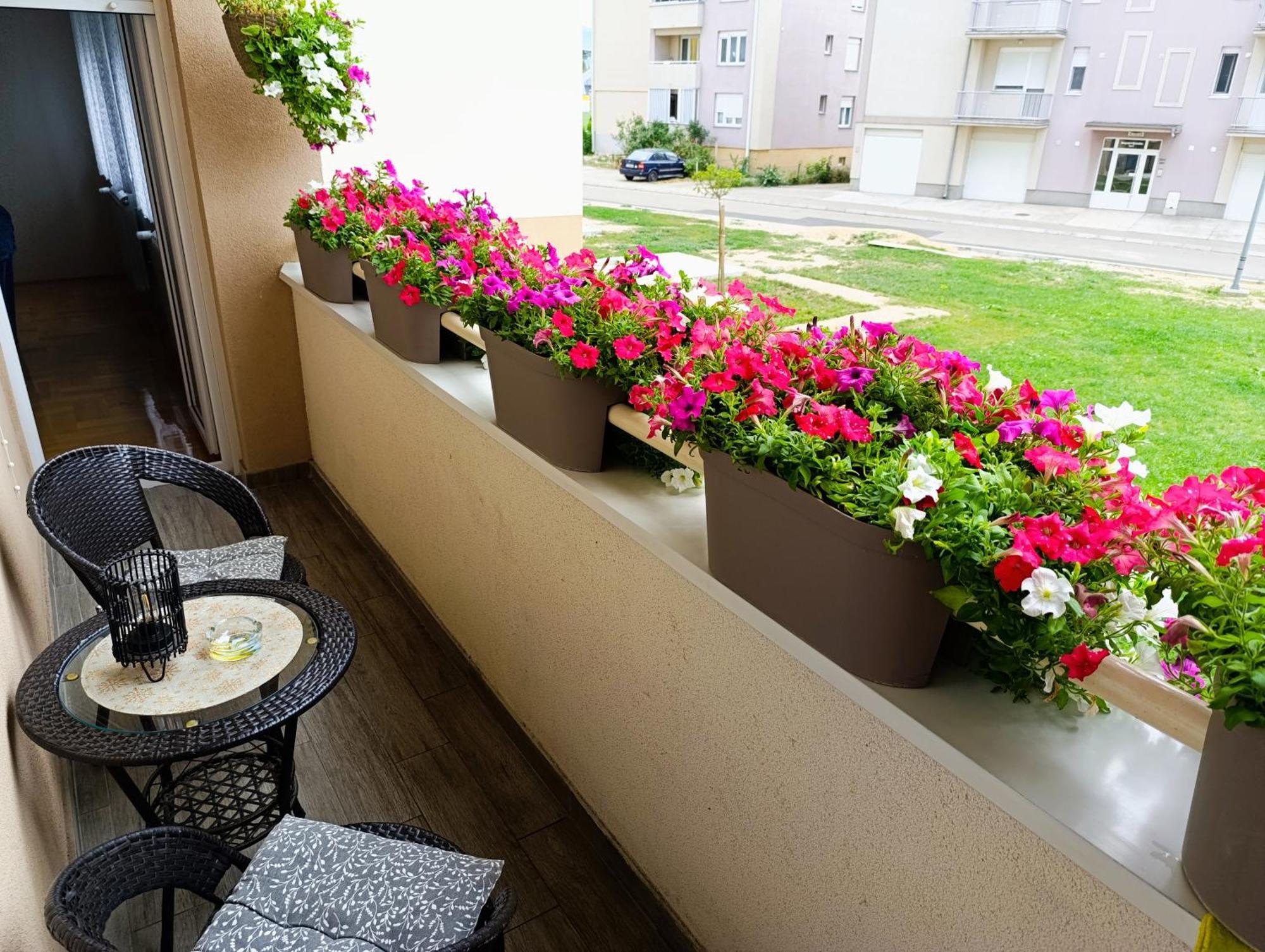 Apartman Lara Pirot Exterior photo